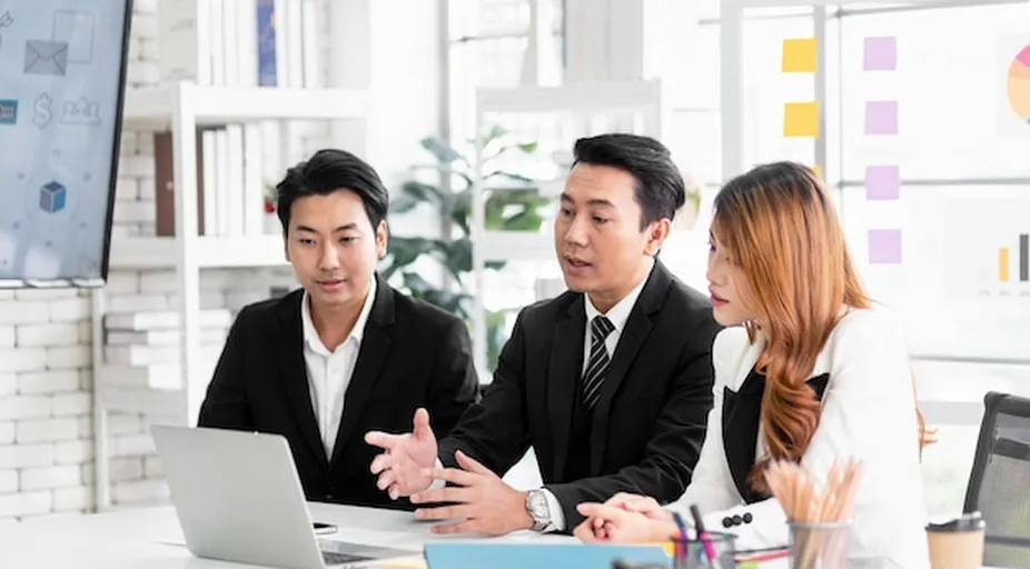 startup online consultation session